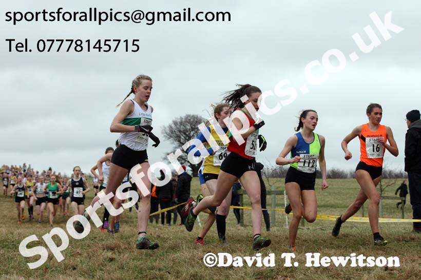 Womens under-17s 2018 Northern Cross Country Champs., Harewood House, Leeds. Photo: David T. Hewitson/Sports for All Pics